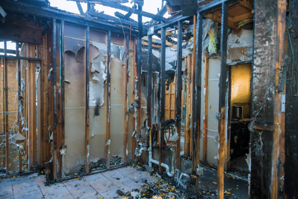 Professional Fire Damage Cleanup technician working in Frenchtown, NJ
